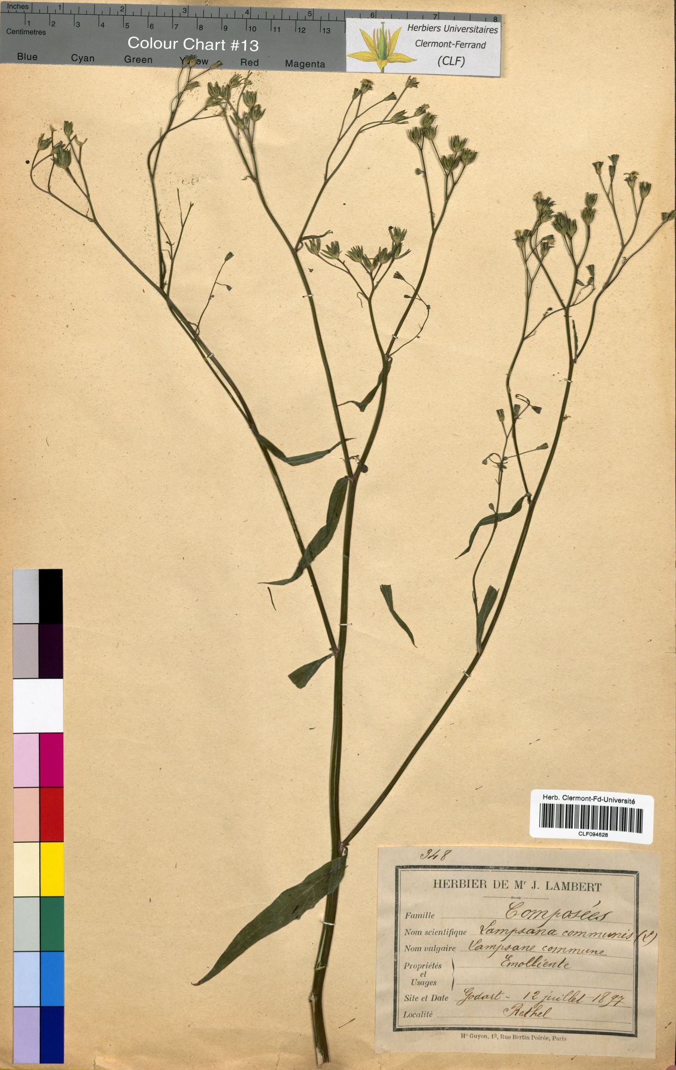 CLF094628